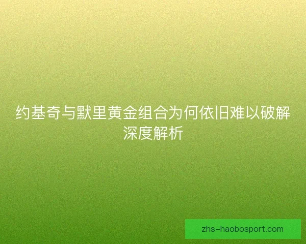 约基奇与默里黄金组合为何依旧难以破解深度解析 约基奇与默里黄金组合为何依旧难以破解深度解析